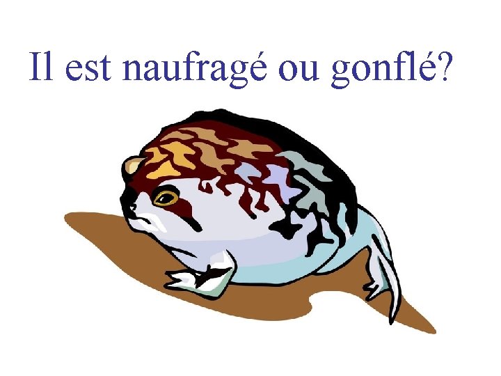 Il est naufragé ou gonflé? 