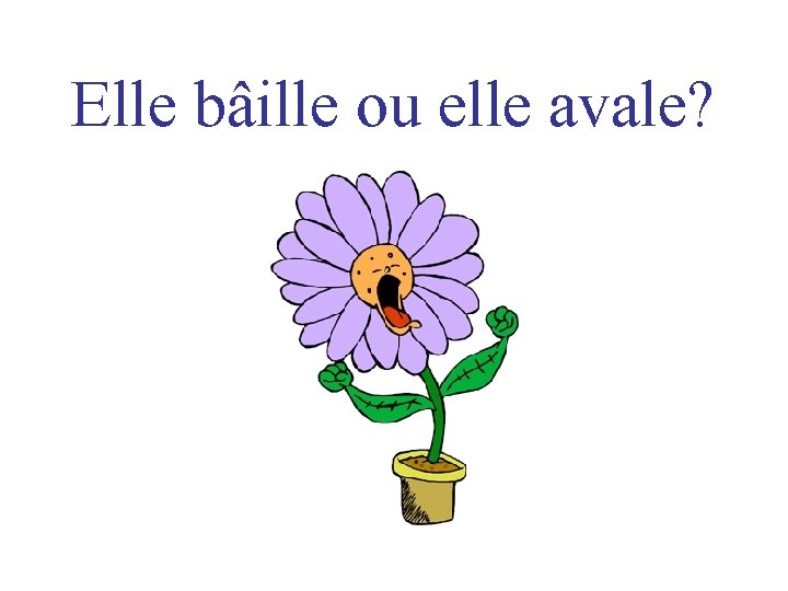 Elle bâille ou elle avale? 