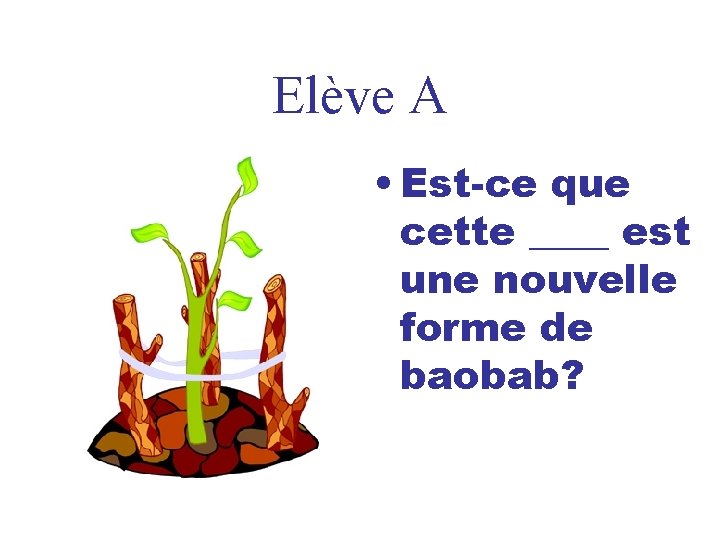 Elève A • Est-ce que cette ____ est une nouvelle forme de baobab? 
