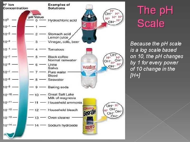 The p. H Scale Because the p. H scale is a log scale based