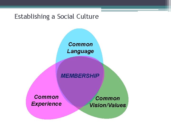 Establishing a Social Culture Common Language MEMBERSHIP Common Experience Common Vision/Values 