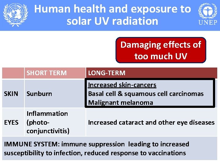 Human health and exposure to solar UV radiation Damaging effects of too much UV