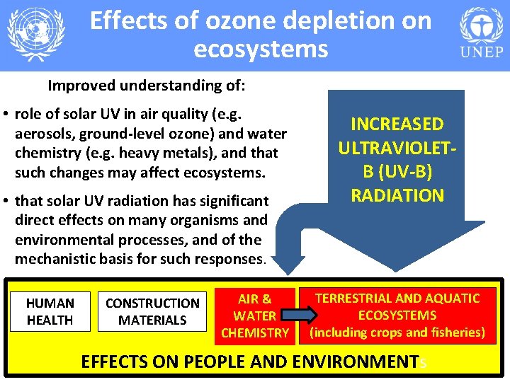 Effects of ozone depletion on ecosystems Improved understanding of: • role of solar UV