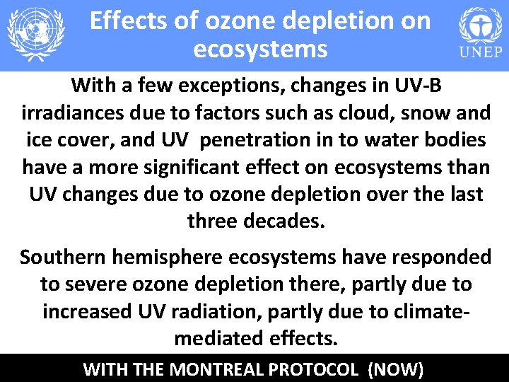 Effects of ozone depletion on ecosystems With a few exceptions, changes in UV-B irradiances