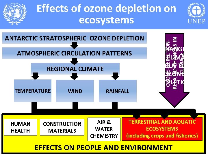 ANTARCTIC STRATOSPHERIC OZONE DEPLETION ATMOSPHERIC CIRCULATION PATTERNS REGIONAL CLIMATE TEMPERATURE HUMAN HEALTH WIND CONSTRUCTION