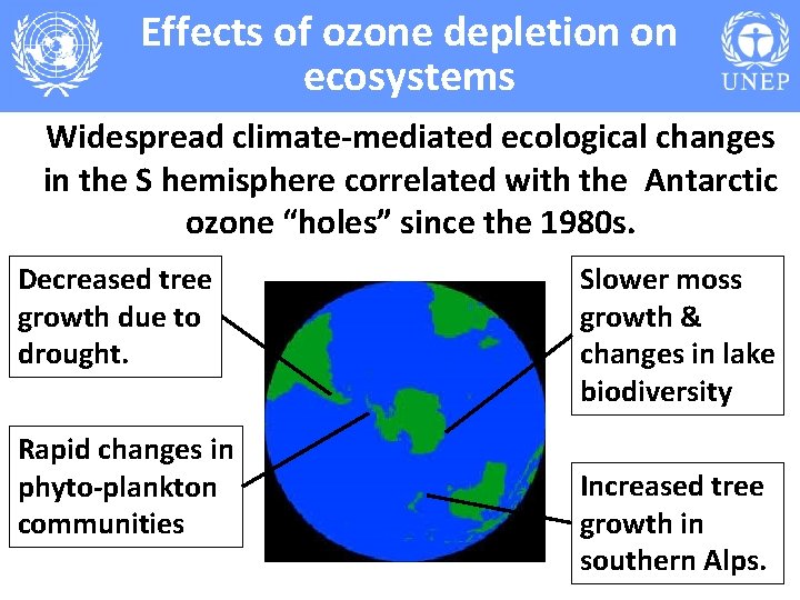 Effects of ozone depletion on ecosystems Widespread climate-mediated ecological changes in the S hemisphere