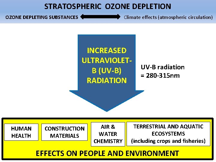STRATOSPHERIC OZONE DEPLETION OZONE DEPLETING SUBSTANCES Climate effects (atmospheric circulation) INCREASED ULTRAVIOLETB (UV-B) RADIATION