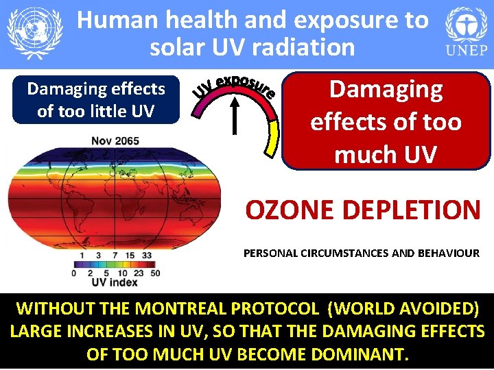 Human health and exposure to solar UV radiation Damaging effects of too little UV