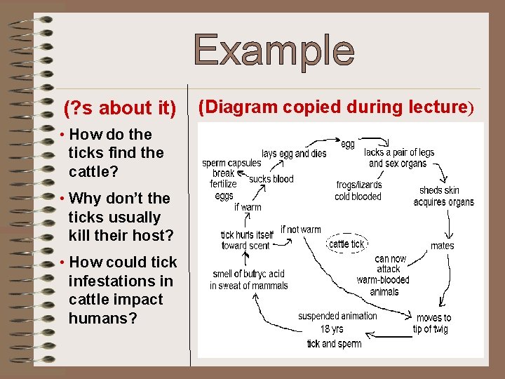 Example (? s about it) • How do the ticks find the cattle? •