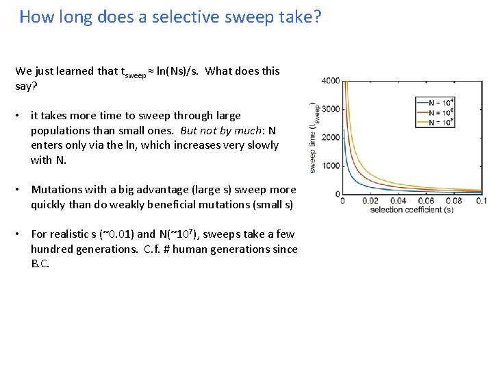 How long does a selective sweep take? We just learned that tsweep ≈ ln(Ns)/s. How long does a selective sweep take? We just learned that tsweep ≈ ln(Ns)/s.