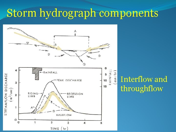 Storm hydrograph components Interflow and throughflow 