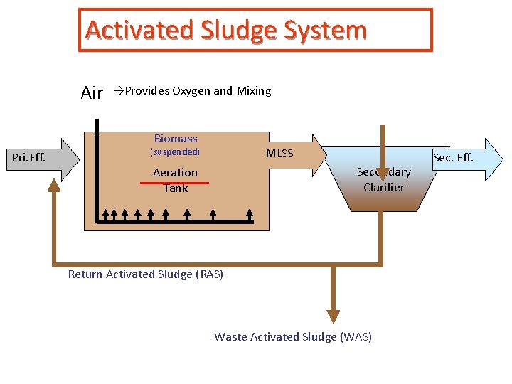 Activated Sludge System Air →Provides Oxygen and Mixing Biomass Pri. Eff. MLSS (suspended) Secondary