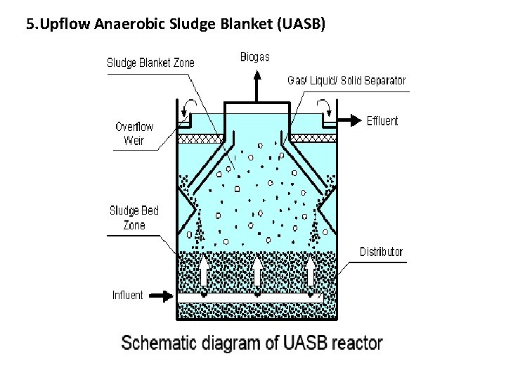 5. Upflow Anaerobic Sludge Blanket (UASB) 