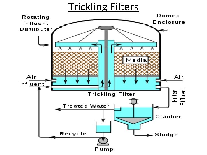 Trickling Filters 