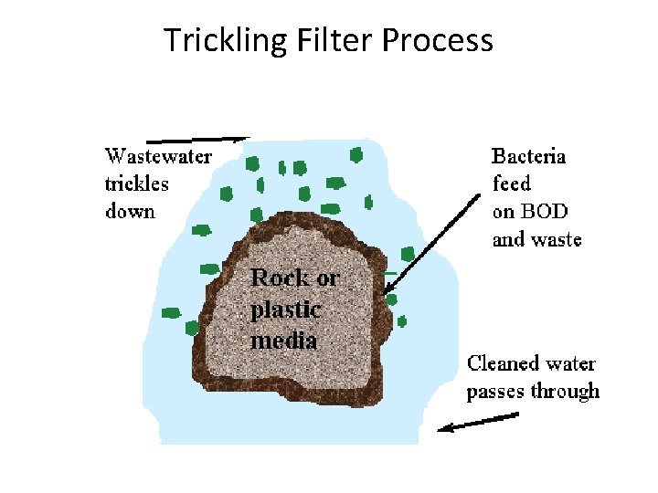 Trickling Filter Process 