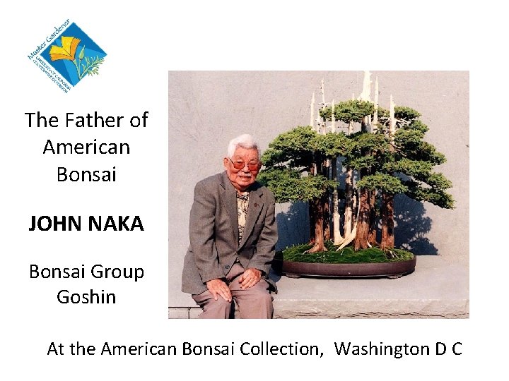 The Father of American Bonsai JOHN NAKA Bonsai Group Goshin At the American Bonsai