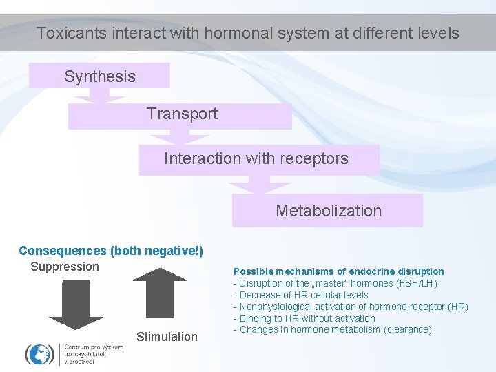 Toxicants interact with hormonal system at different levels Synthesis Transport Interaction with receptors Metabolization