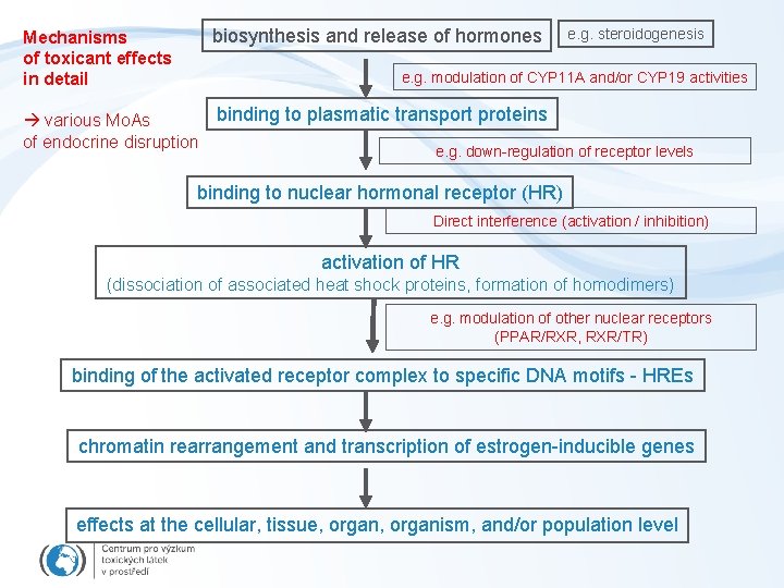 Mechanisms of toxicant effects in detail biosynthesis and release of hormones e. g. steroidogenesis