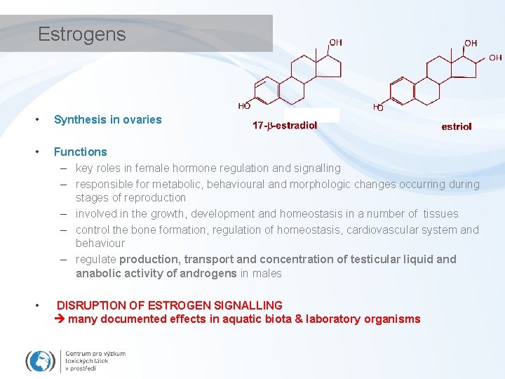 Estrogens • Synthesis in ovaries • Functions – key roles in female hormone regulation