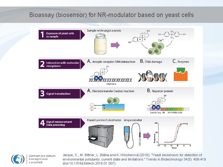 Bioassay (biosensor) for NR-modulator based on yeast cells Jarque, S. , M. Bittner, L.