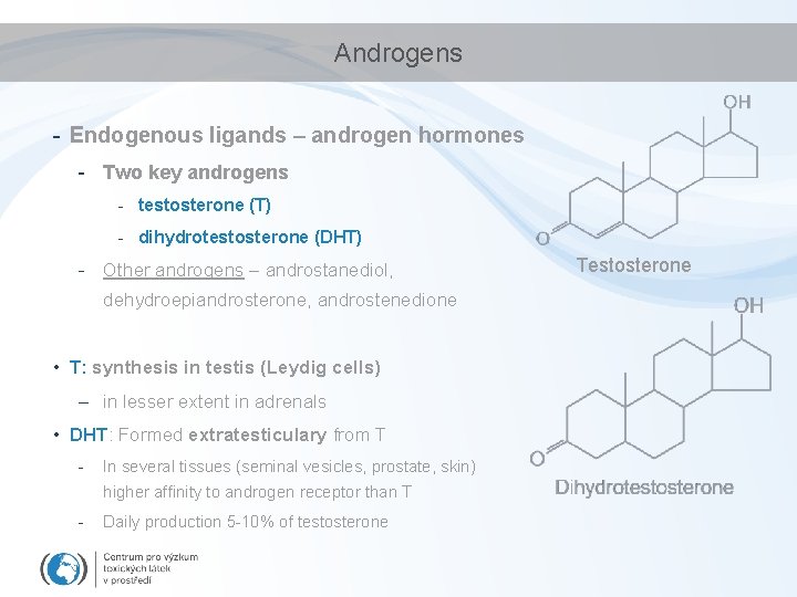 Androgens - Endogenous ligands – androgen hormones - Two key androgens - testosterone (T)