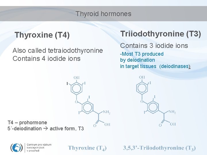 Thyroid hormones Thyroxine (T 4) Also called tetraiodothyronine Contains 4 iodide ions T 4