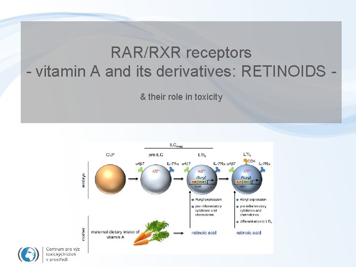 RAR/RXR receptors - vitamin A and its derivatives: RETINOIDS & their role in toxicity