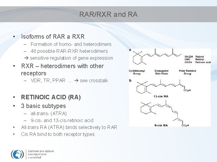 RAR/RXR and RA • Isoforms of RAR a RXR – Formation of homo- and