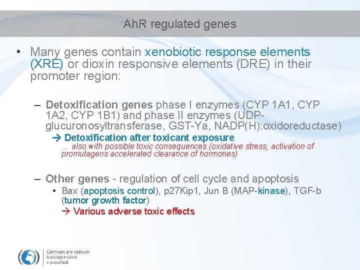 Ah. R regulated genes • Many genes contain xenobiotic response elements (XRE) or dioxin