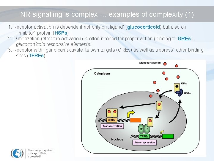 NR signalling is complex … examples of complexity (1) 1. Receptor activation is dependent