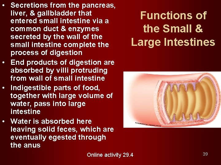  • Secretions from the pancreas, liver, & gallbladder that entered small intestine via