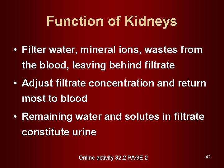 Function of Kidneys • Filter water, mineral ions, wastes from the blood, leaving behind