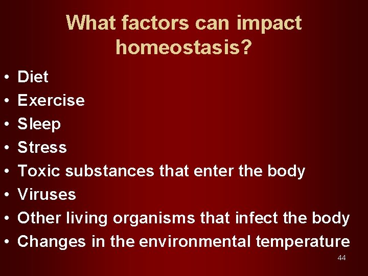 What factors can impact homeostasis? • • Diet Exercise Sleep Stress Toxic substances that
