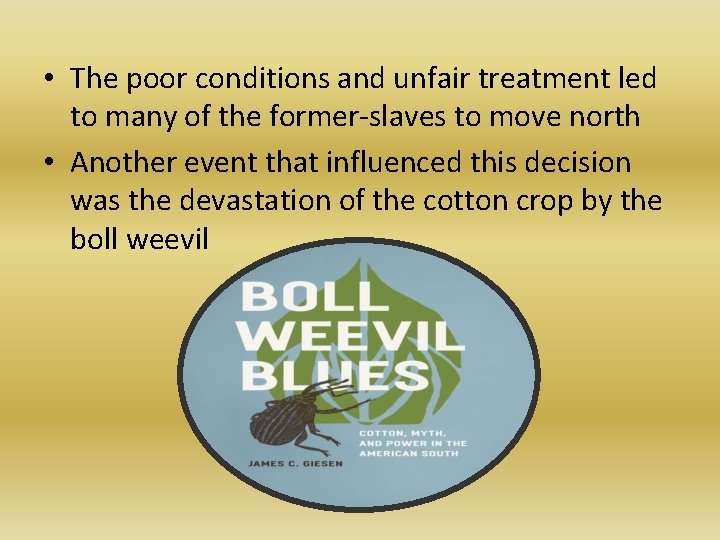  • The poor conditions and unfair treatment led to many of the former-slaves