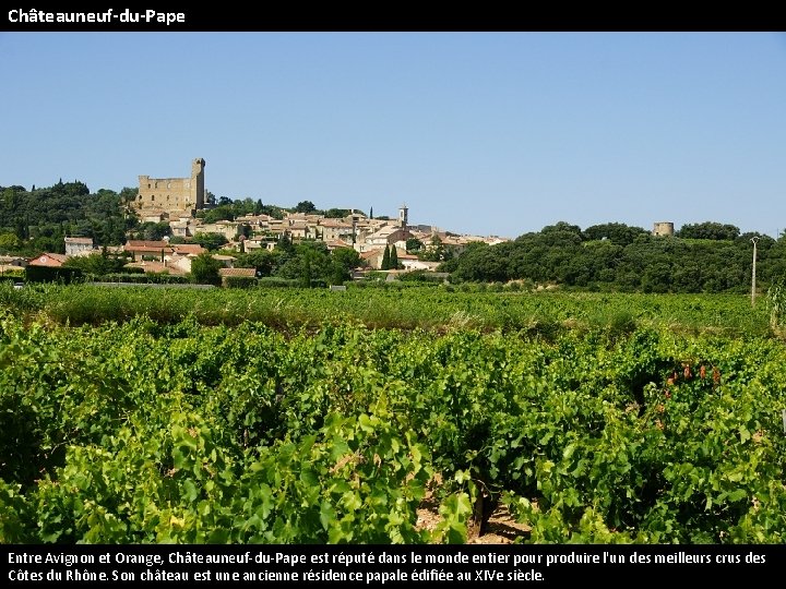 Châteauneuf-du-Pape Entre Avignon et Orange, Châteauneuf-du-Pape est réputé dans le monde entier pour produire
