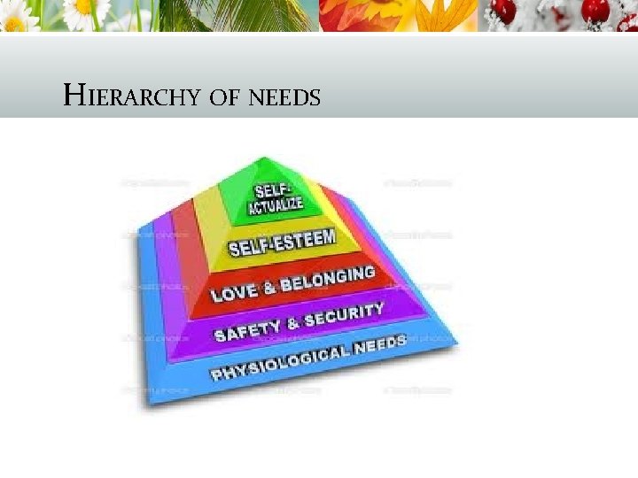 HIERARCHY OF NEEDS 
