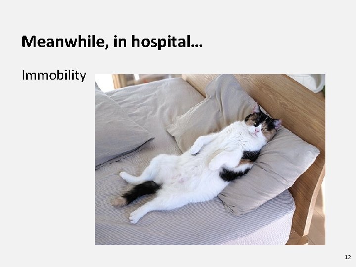 Meanwhile, in hospital… Immobility 12 