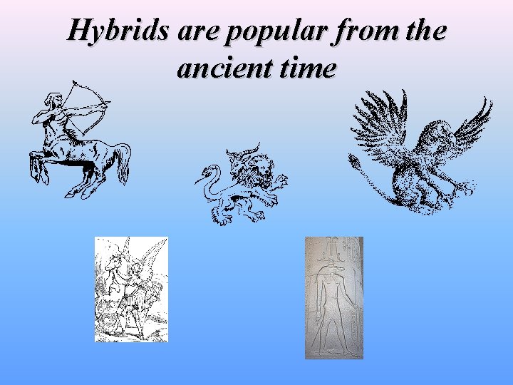 Hybrids are popular from the ancient time 