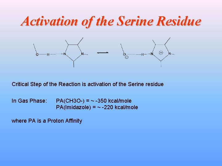 Activation of the Serine Residue Critical Step of the Reaction is activation of the