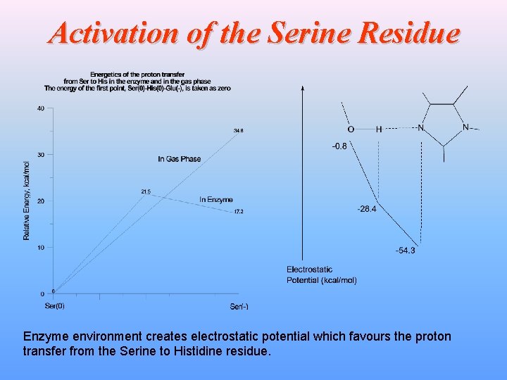 Activation of the Serine Residue Enzyme environment creates electrostatic potential which favours the proton