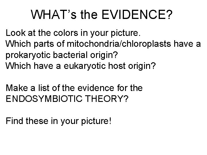 WHAT’s the EVIDENCE? Look at the colors in your picture. Which parts of mitochondria/chloroplasts