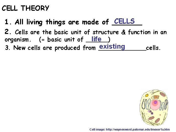 CELL THEORY CELLS 1. All living things are made of _______ 2. Cells are
