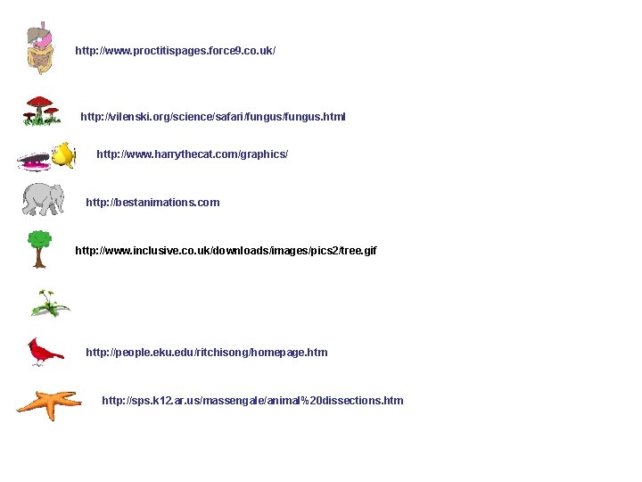 http: //www. proctitispages. force 9. co. uk/ http: //vilenski. org/science/safari/fungus. html http: //www. harrythecat.