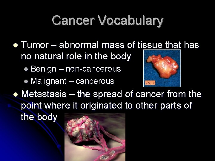 Cancer Vocabulary l Tumor – abnormal mass of tissue that has no natural role