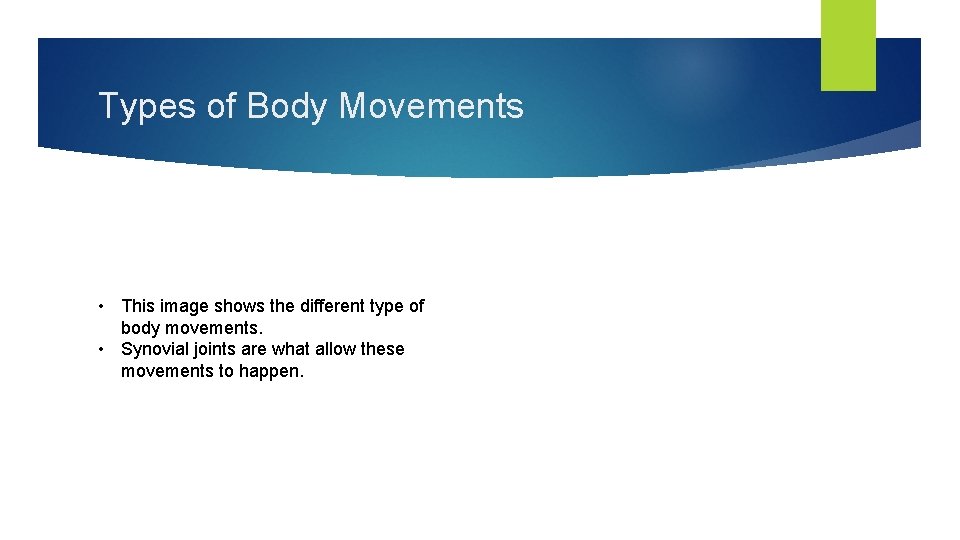 Types of Body Movements • This image shows the different type of body movements.