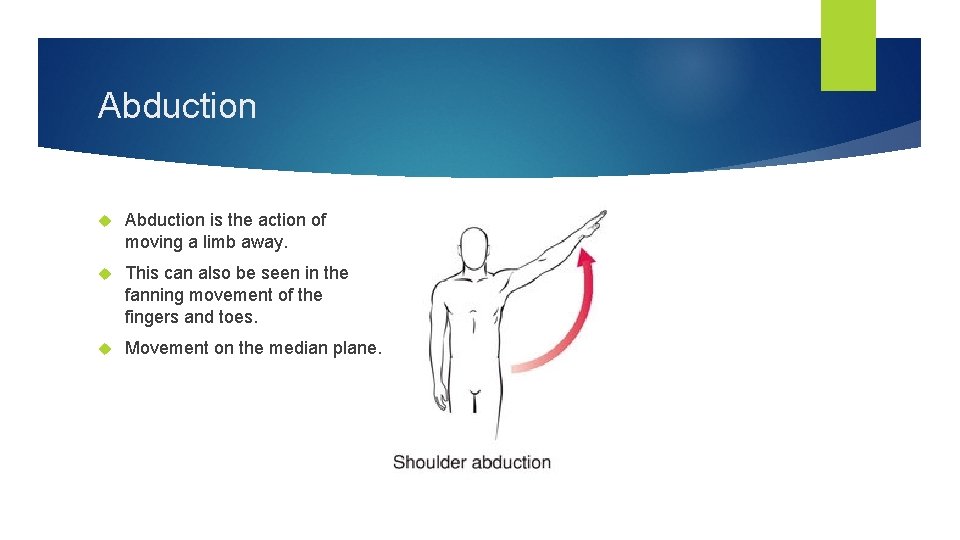 Abduction is the action of moving a limb away. This can also be seen