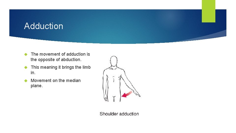 Adduction The movement of adduction is the opposite of abduction. This meaning it brings