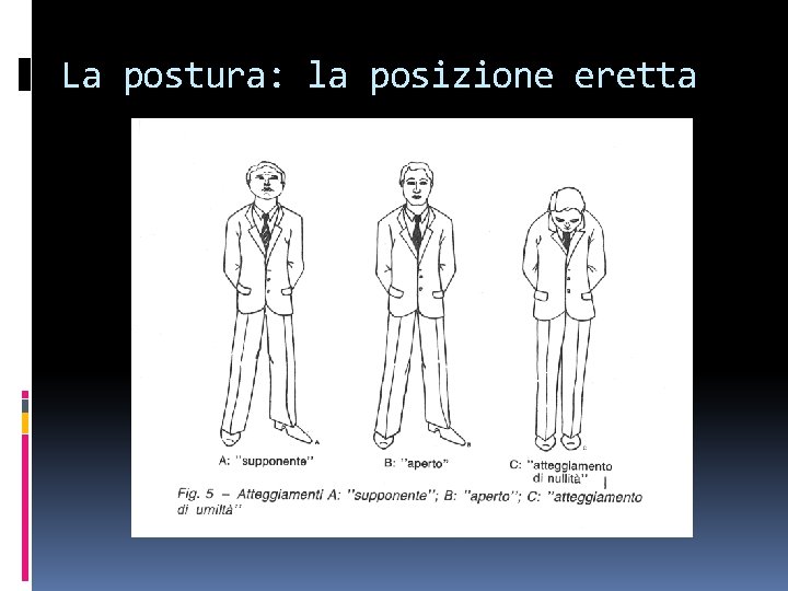 La postura: la posizione eretta 