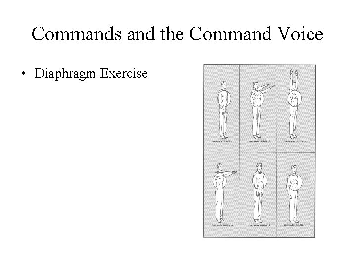 Commands and the Command Voice • Diaphragm Exercise 