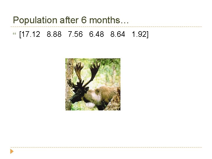 Population after 6 months… [17. 12 8. 88 7. 56 6. 48 8. 64